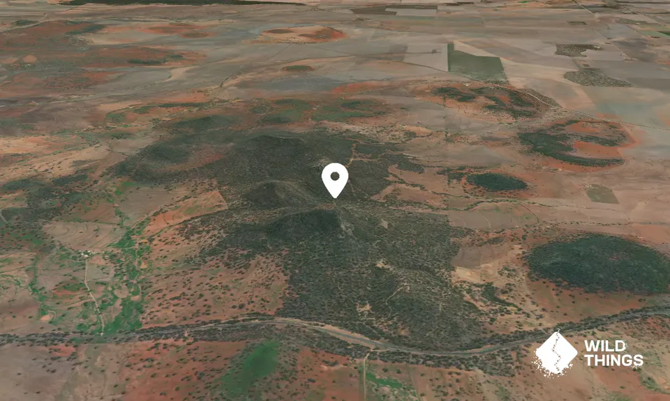 Mount Baloola