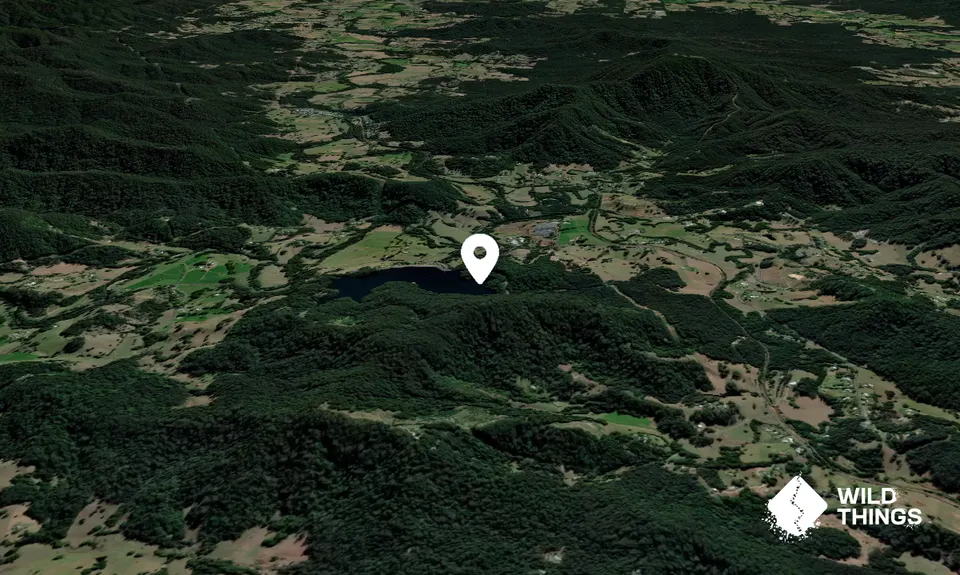 Mount Browne