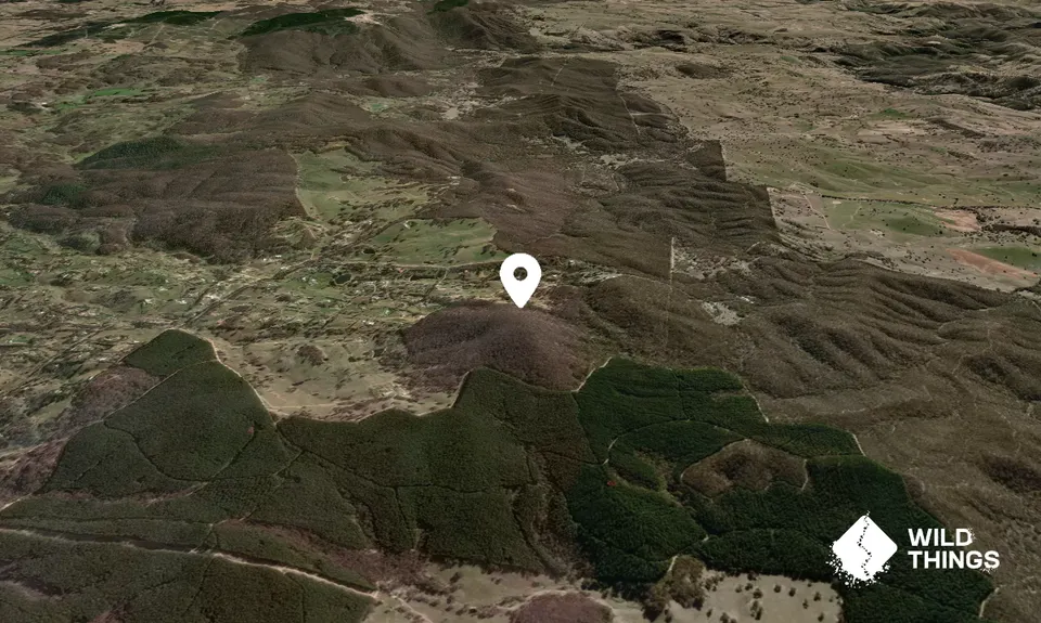 Mount Bulga