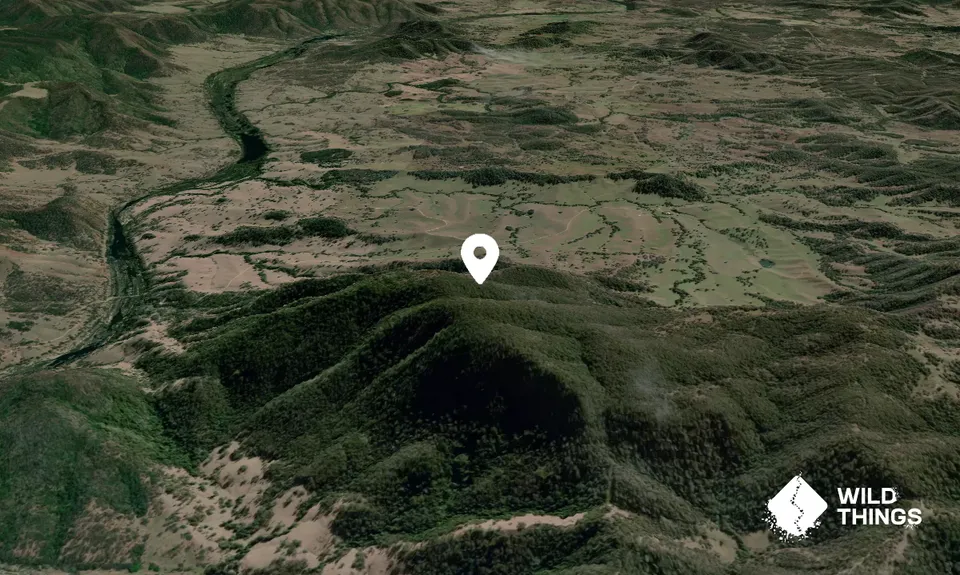 Mount Carnham