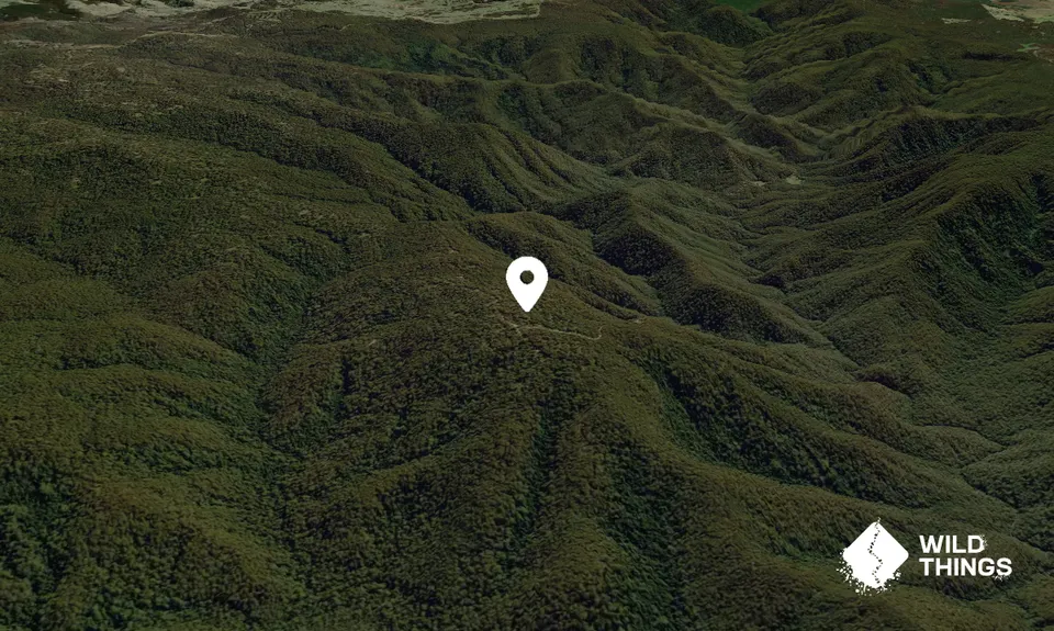 Mount Carrington