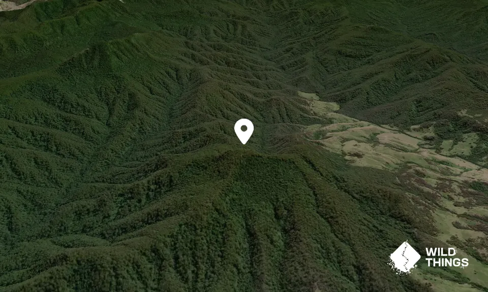 Mount Carrow