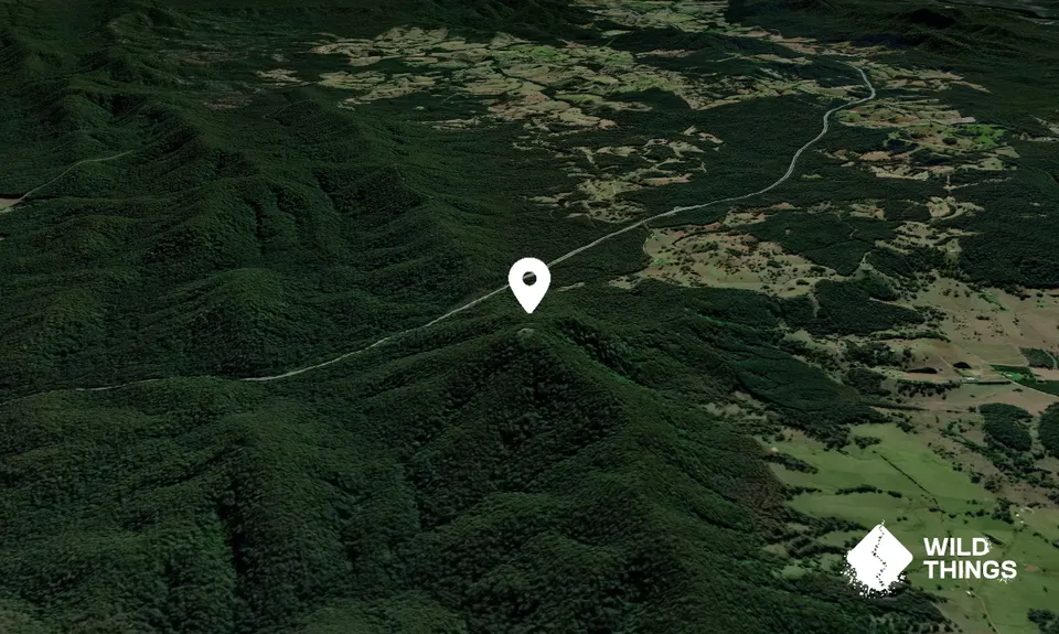 Mount Chapman