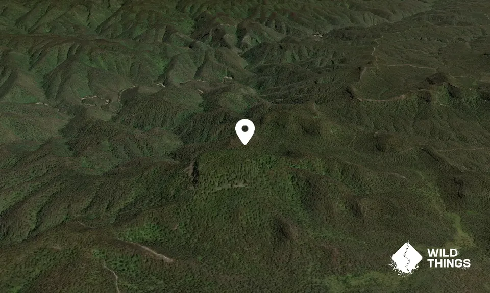 Mount Colong