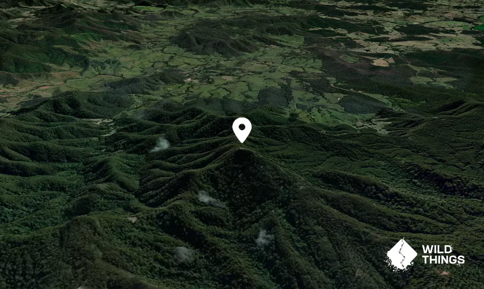 Mount Comboyne