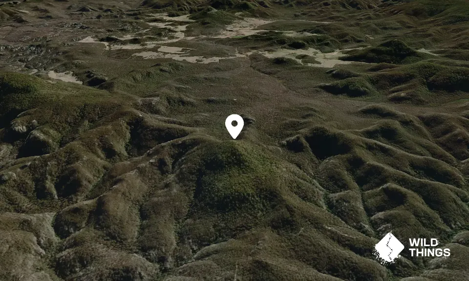 Mount Coorongooba