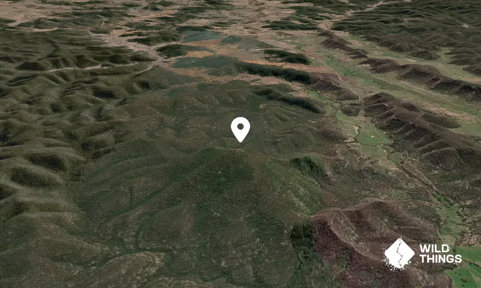 Mount Dangar
