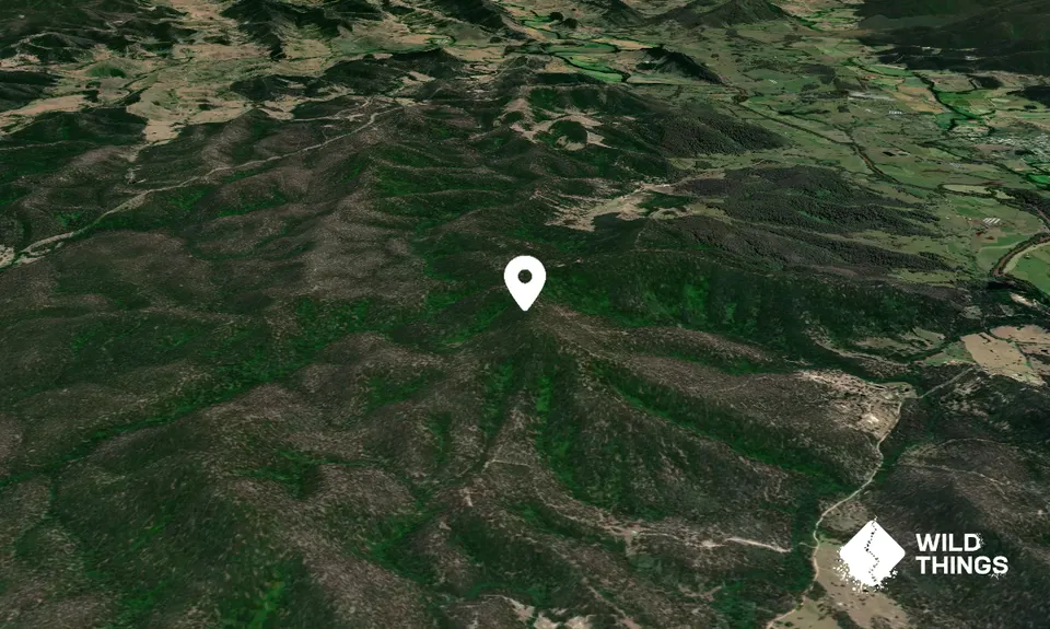 Mount Ebsworth