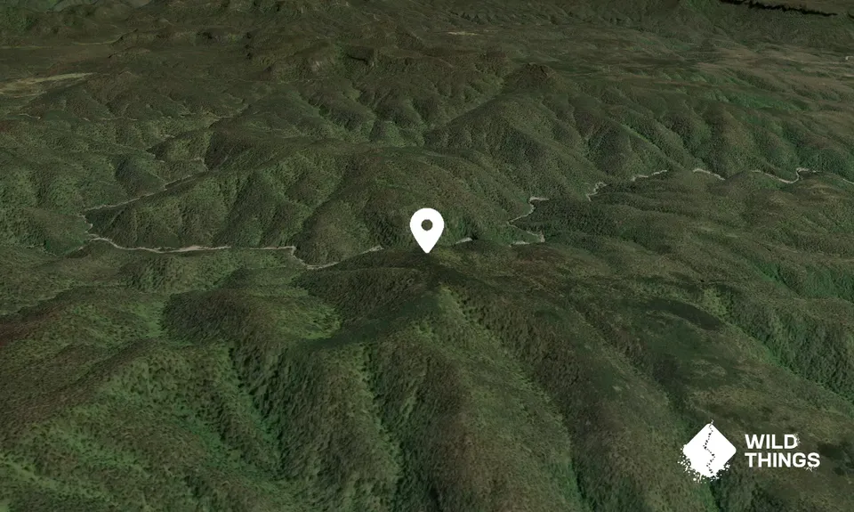 Mount Egan