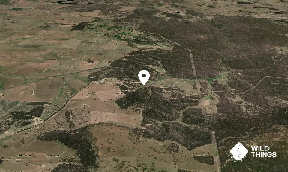 Fitzgerald Mount