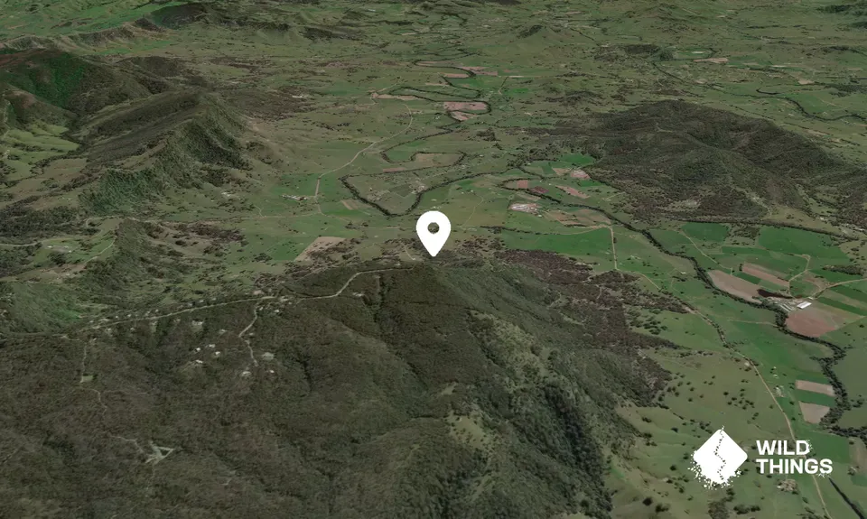 Mount George