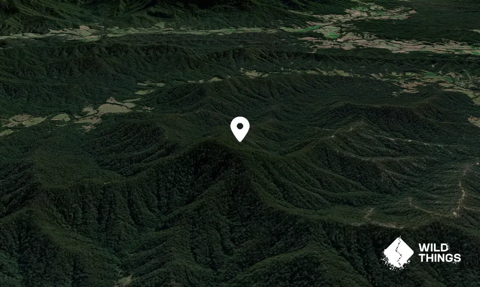 Mount Gladstone