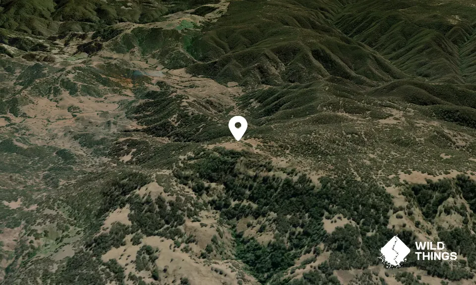 Mount Gog