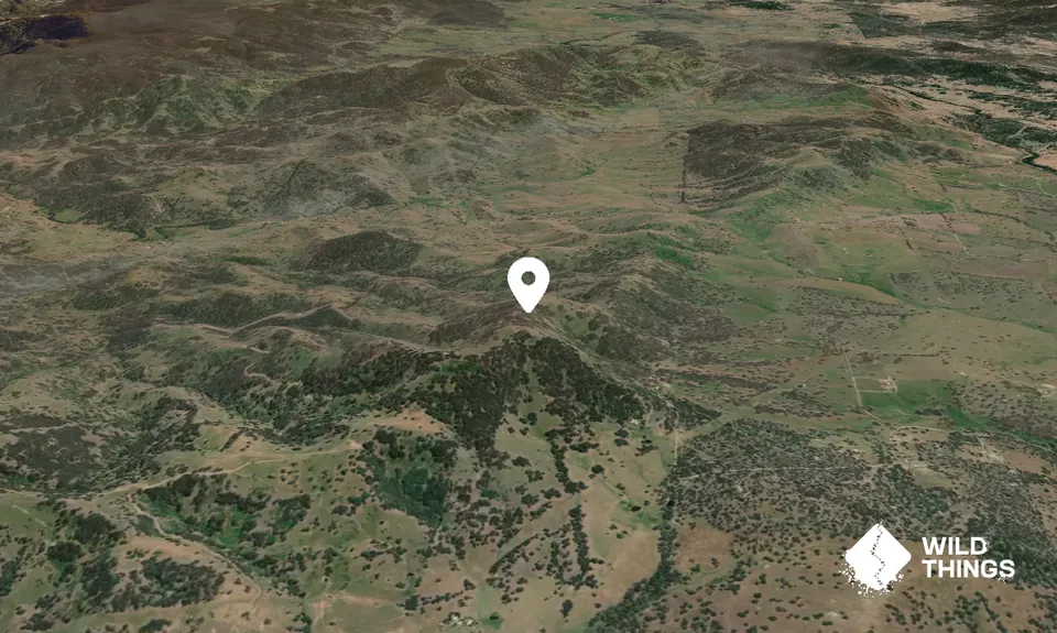 Mount Gulligal