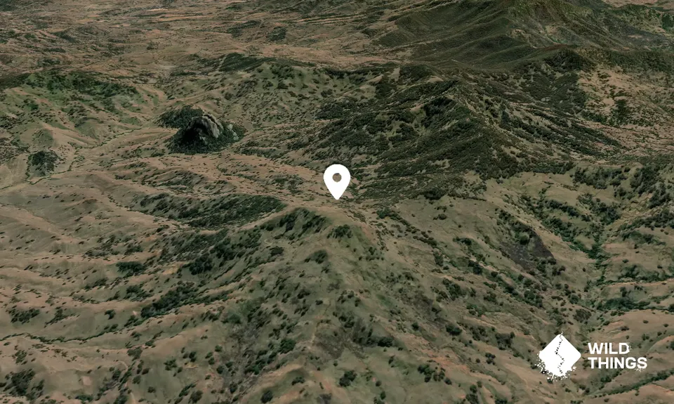 Mount Hammond