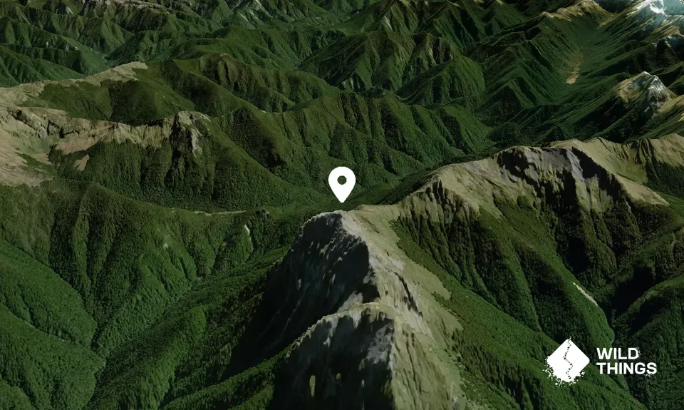 Mount Patriarch
