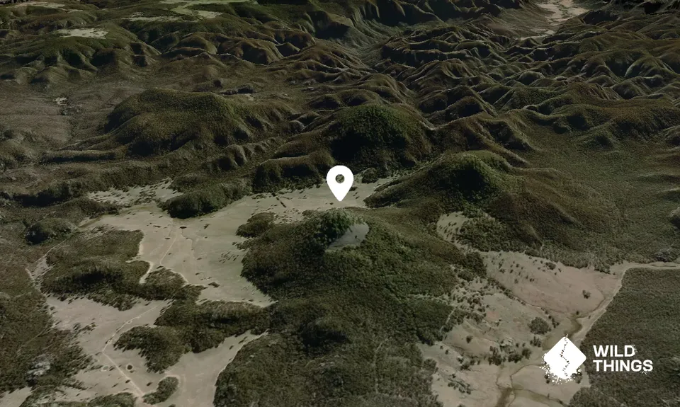 Mount Kelgoola