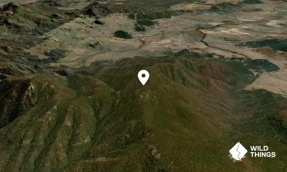 Mount Lindesay