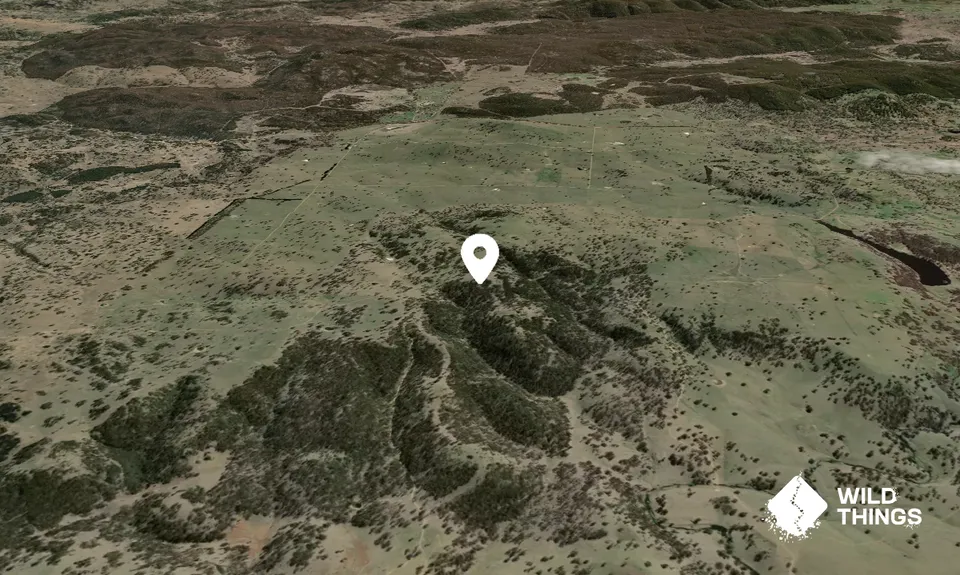 Mount Lookout