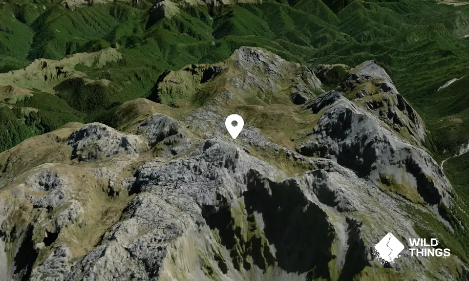 Mount Owen