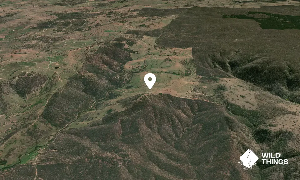 Mount Misery