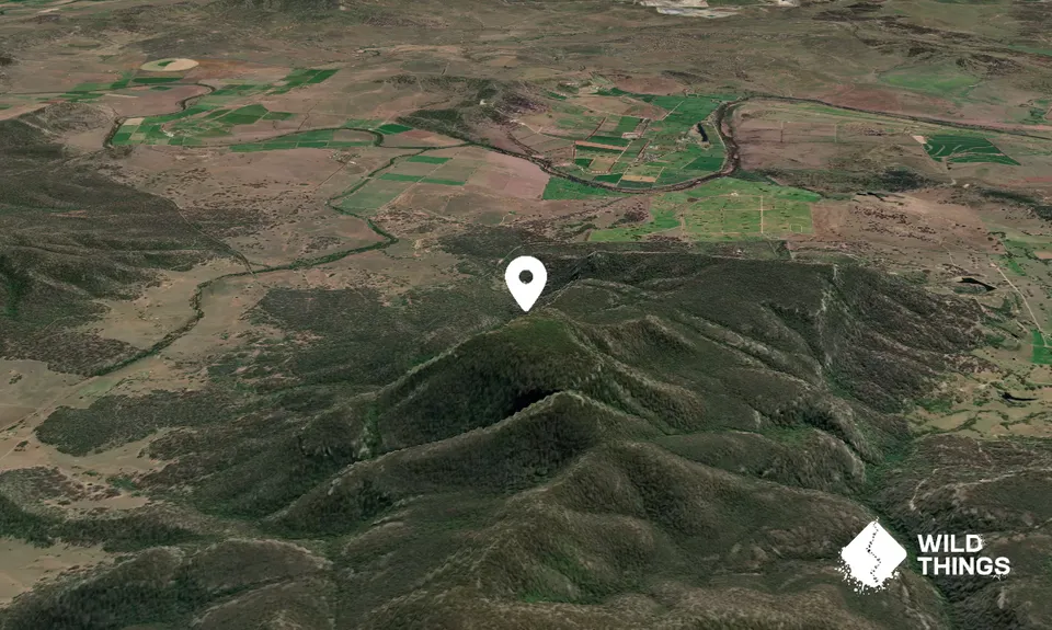 Mount Neilson