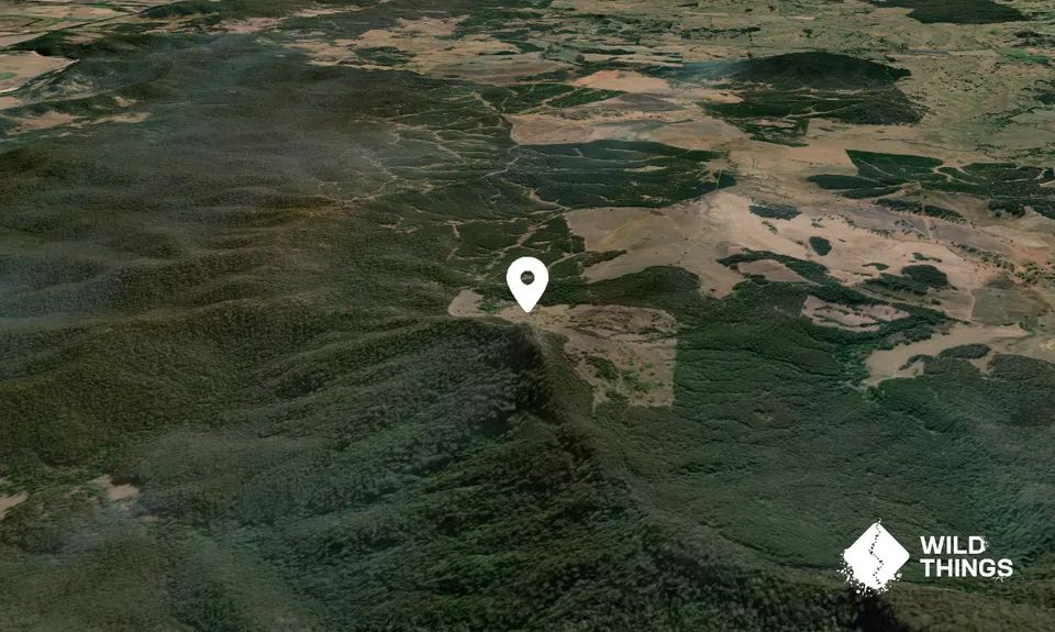 Mount Picarbin
