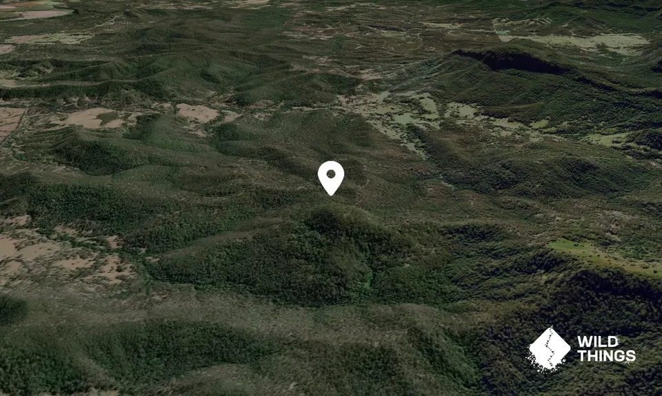 Mount Powarpar