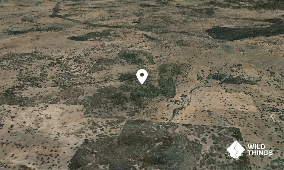 Mount Rankin