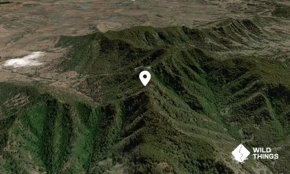Mount Tingaroo