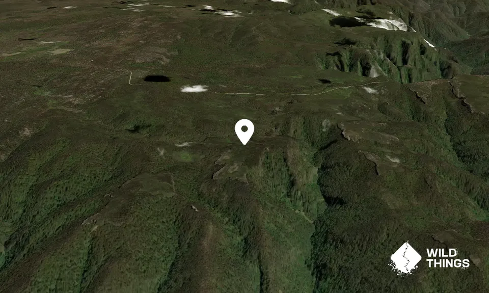 Mount Wallarra