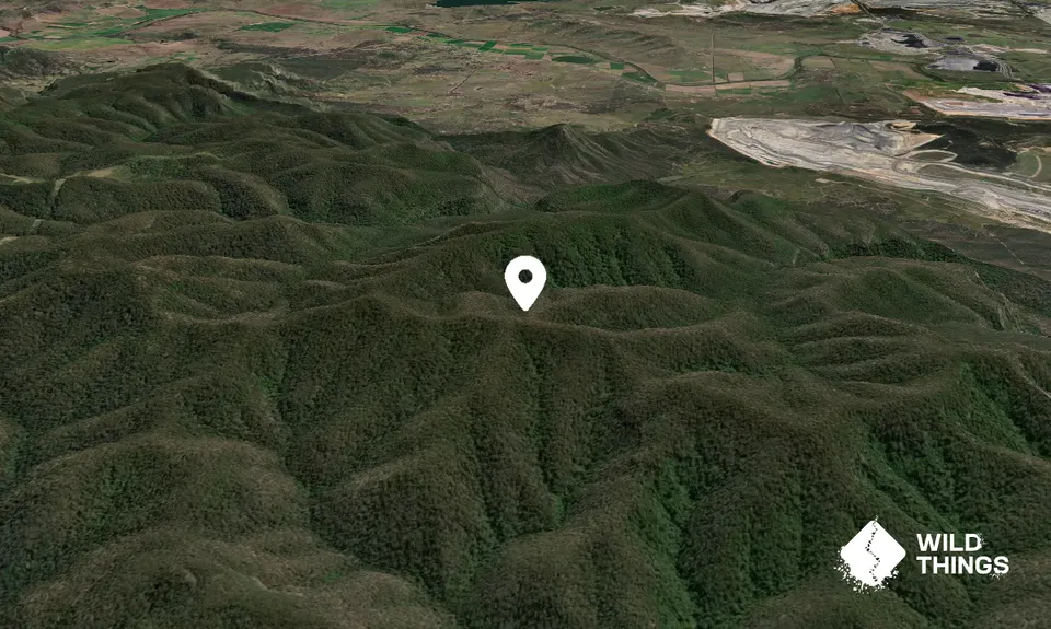 Mount Wambo