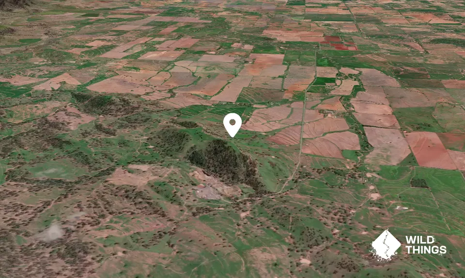 Mount Winton