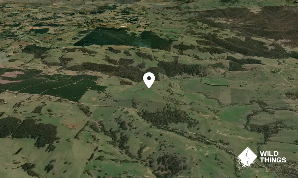 Nunans Hill