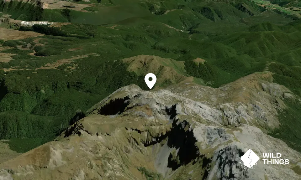 Mount Arthur