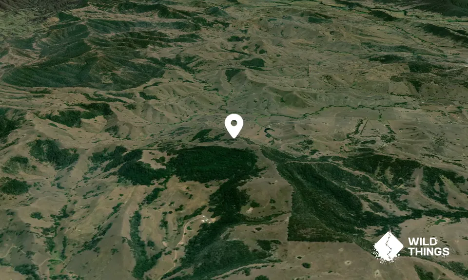 Pilchers Mountain