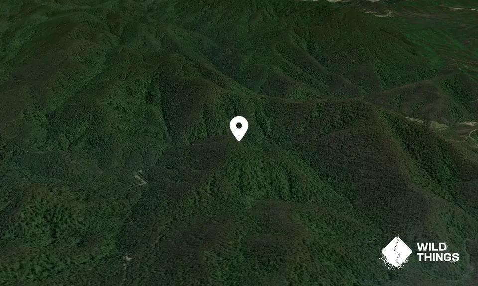 Prickly Peak