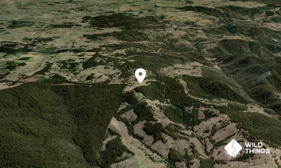 Quigeram Pinnacle