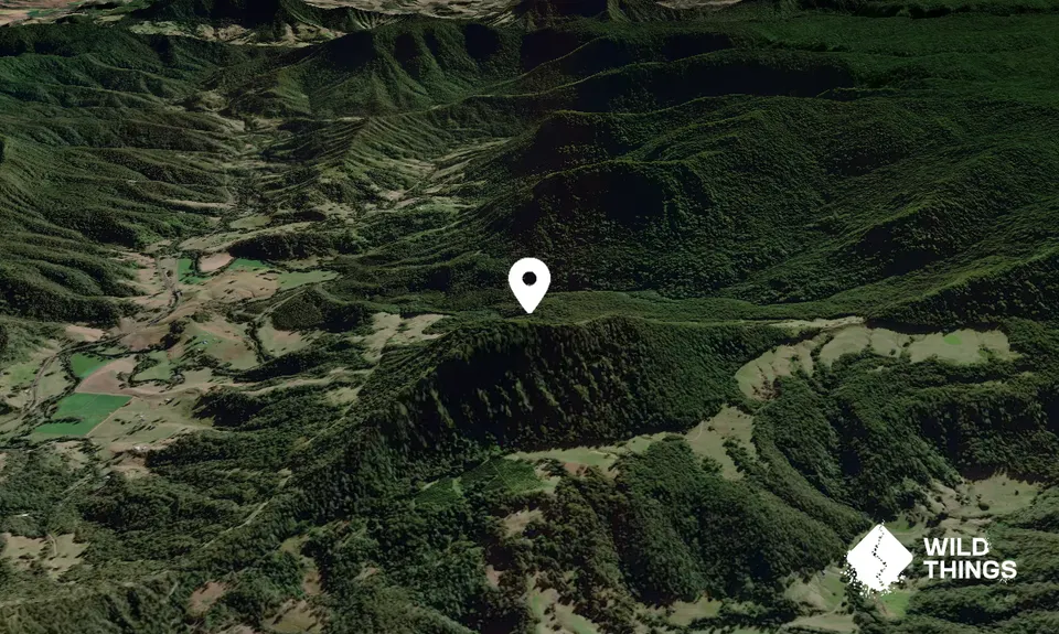 Razorback Mountain
