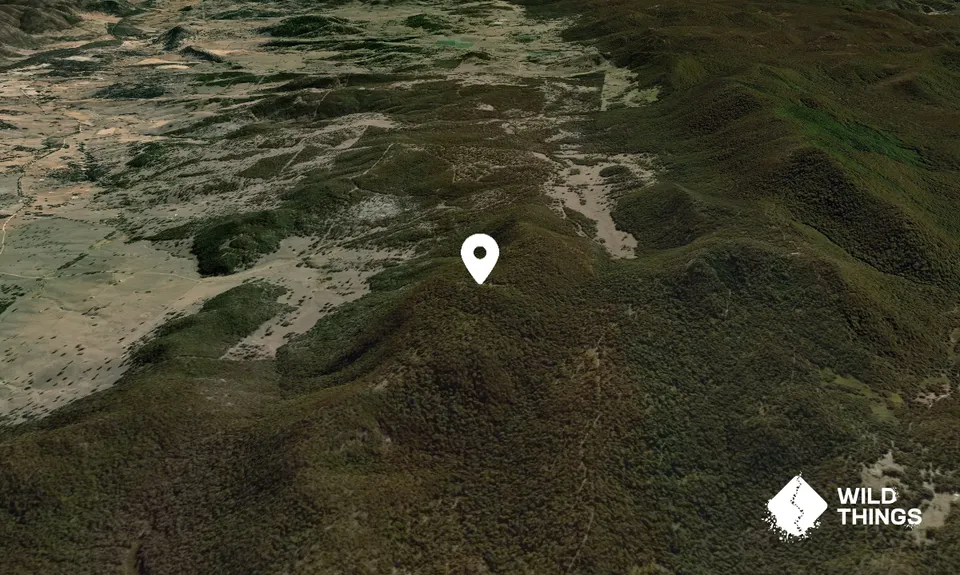 Rodgers Gap