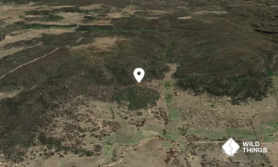 Round Mountain