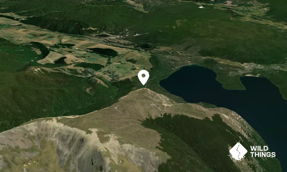 Mount Robert