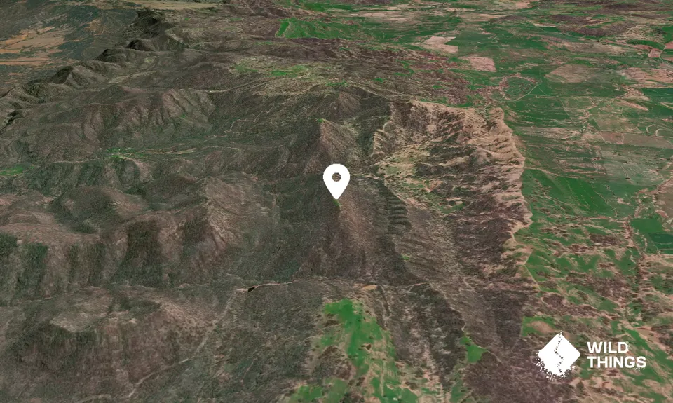 Split Yard Mountain