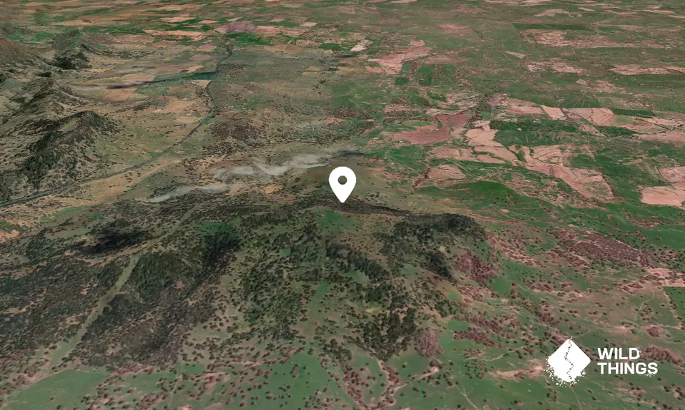 Tamarang Mountain