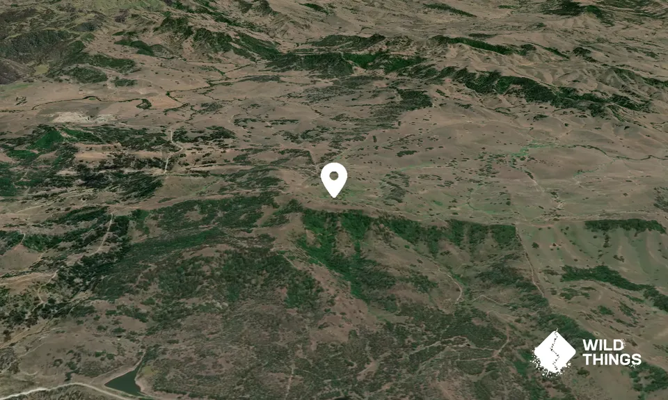 Tank Mountain