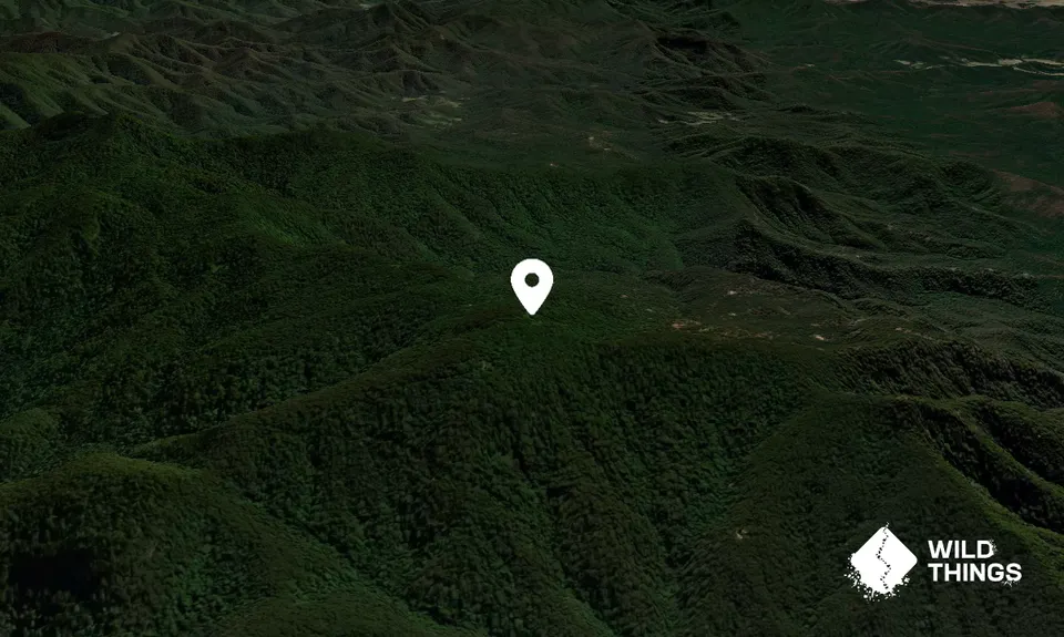 Tinebank Mountain