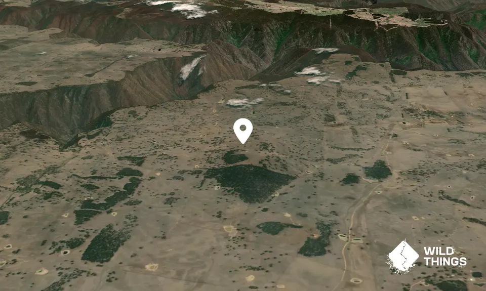 Trinidad Hill