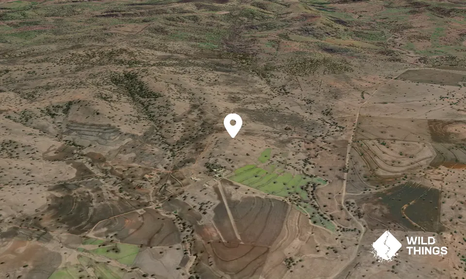 Tuite Hill