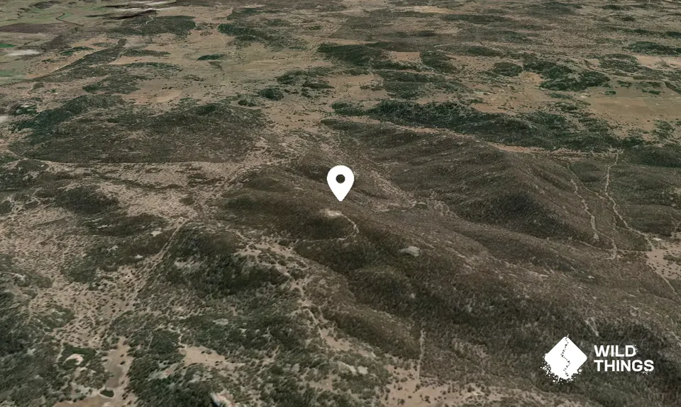 Turkey Mountain