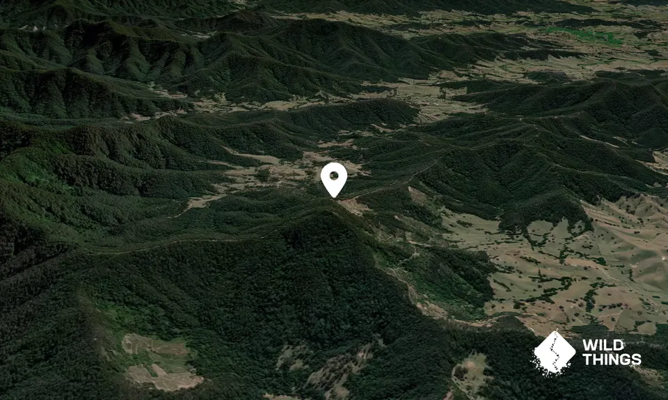 Whip Mountain